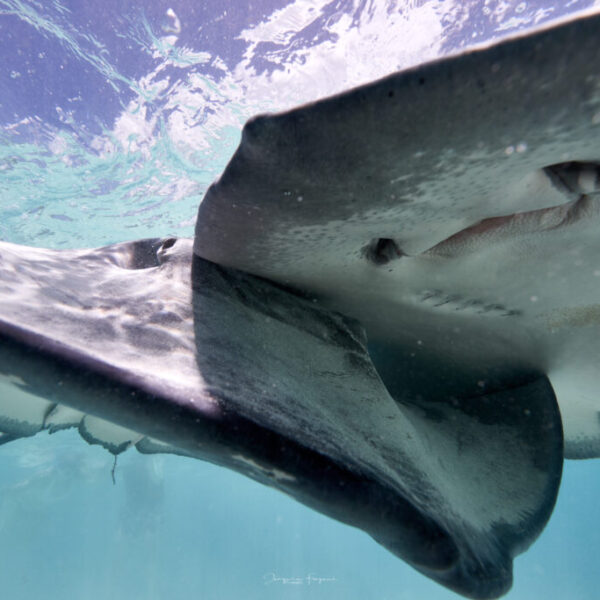 TOUR PRIVE DEMI-JOURNEE