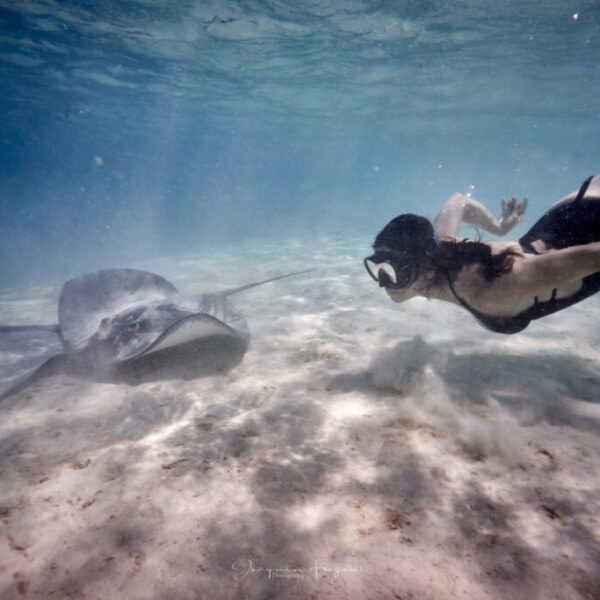 Lagoon Tour Half Day