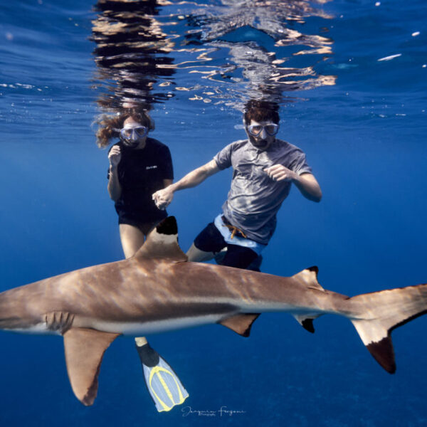 PRIVATE FULL DAY TOUR