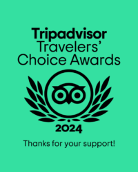 TC_thank you social_L_1080 x 1350_2024